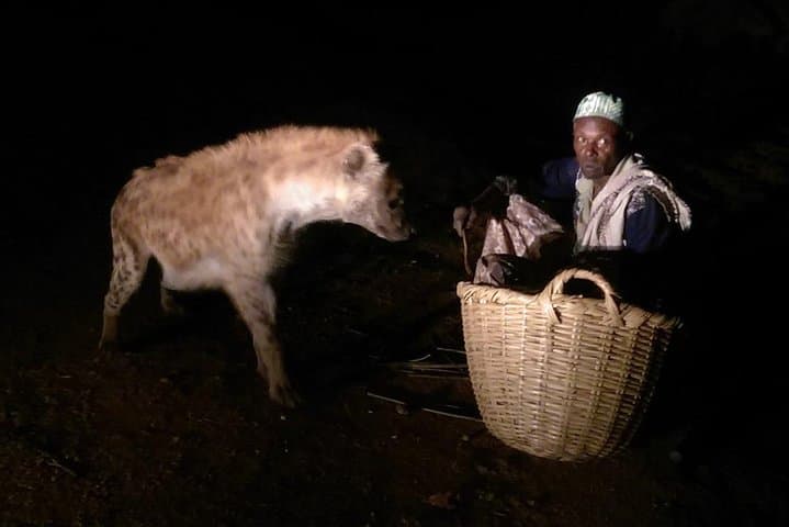 5-Day Harar, Dire Dawa & Awash National Park: Culture, Hyenas and Rift-Valley Wildlife