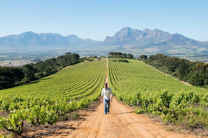 Constantia Winelands Private Wine Tour — Simon van der Stel Route from Cape Town photo 3