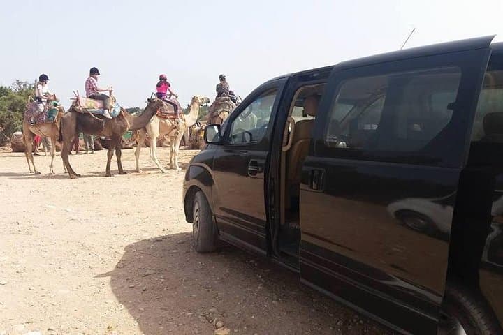 Day Trip to Essaouira from Marrakech: Wind, Argan Trees & Atlantic Views photo 2