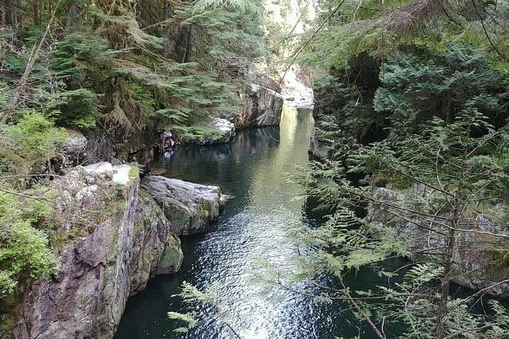 North Vancouver Discovery Private Tour: Capilano, Deep Cove & Grouse Mountain Day Trip photo 5