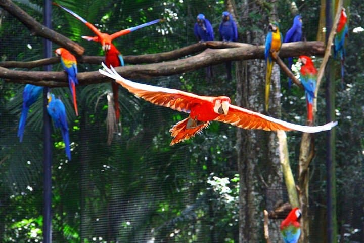Temaikèn Biopark Day Tour from Buenos Aires — Wildlife, Gardens & Transfer photo 2