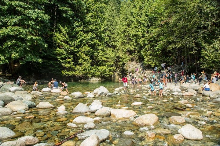 Lynn Canyon Nature Walk: Suspension Bridge & Twin Falls Eco Tour photo 3
