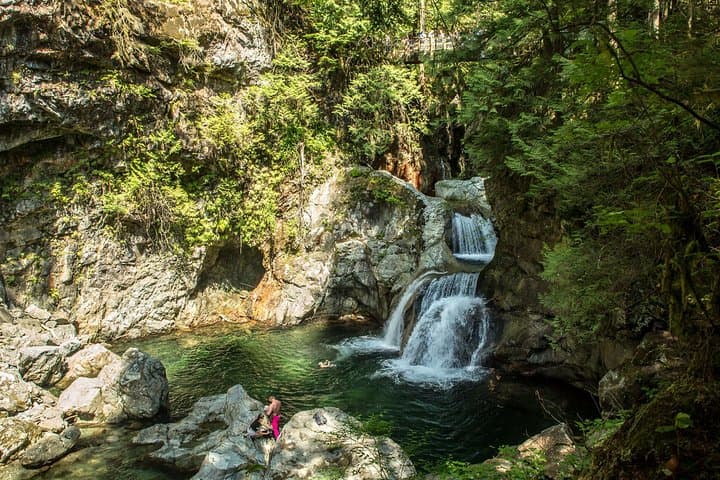 Lynn Canyon Nature Walk: Suspension Bridge & Twin Falls Eco Tour photo 4