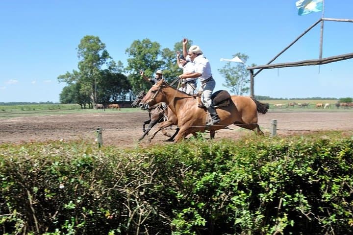 Gaucha Field Day near Buenos Aires: Roast, Folklore & Horses photo 2
