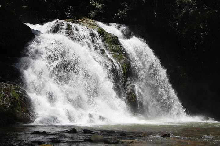 Full-Day Savegre River Whitewater Rafting from Manuel Antonio photo 6