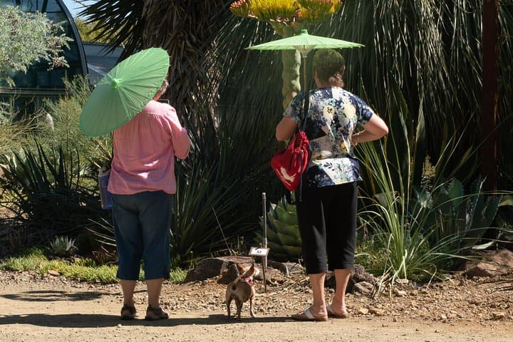 Explore Ruth Bancroft Garden: Walnut Creek Succulent & Cactus Garden Admission photo 6
