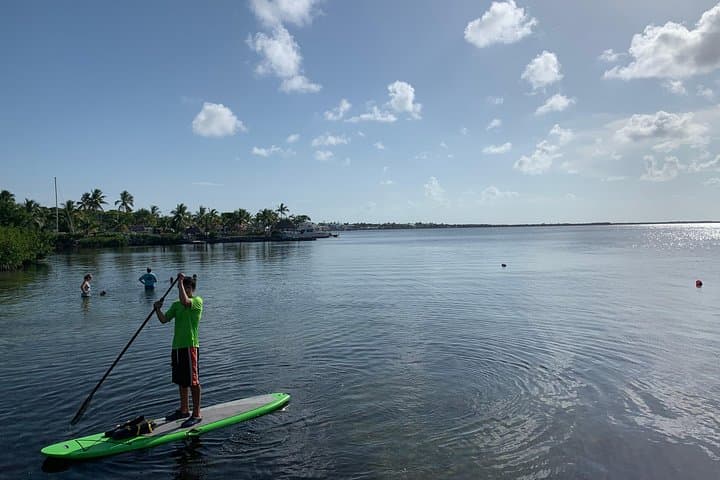 Key Largo 1-Hour Kayak & Paddleboard Rental on Florida Bay photo 2