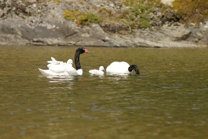 Explore Tierra del Fuego National Park: Shore Excursion from Ushuaia photo 4