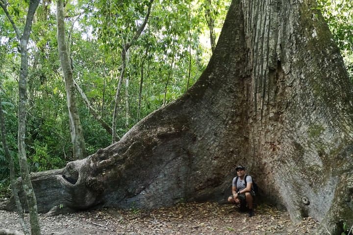 Tikal Full-Day Archaeological Tour — In-Depth Exploration & Photography photo 3