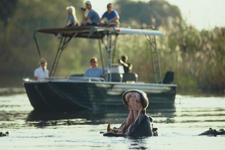 Upper Zambezi River Safari — Livingstone Wildlife Cruise & Rapids Excursion photo 2