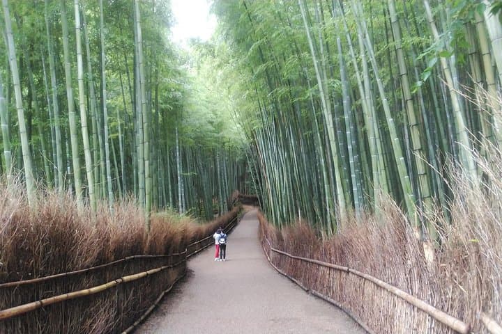 Early-Riser Kyoto Platinum Walking Tour: Beat the Crowds at Fushimi Inari & Arashiyama photo 3