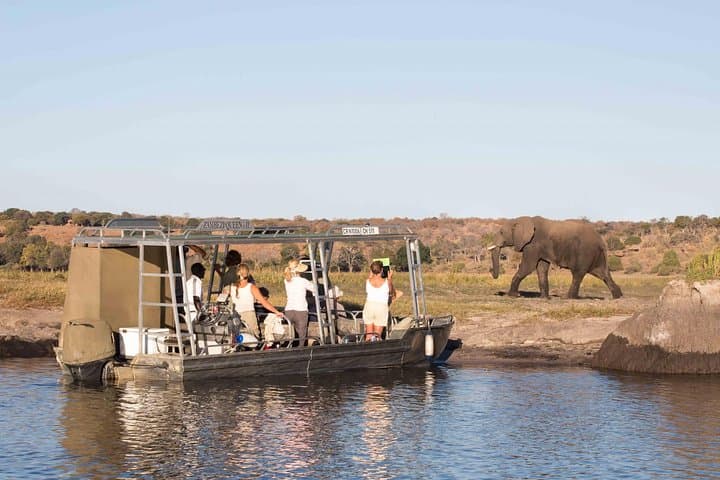 Upper Zambezi River Safari — Livingstone Wildlife Cruise & Rapids Excursion photo 4