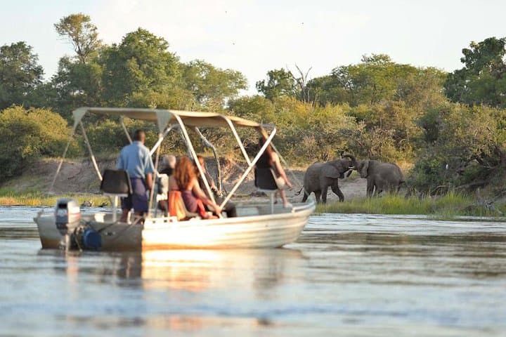 Upper Zambezi River Safari — Livingstone Wildlife Cruise & Rapids Excursion photo 5