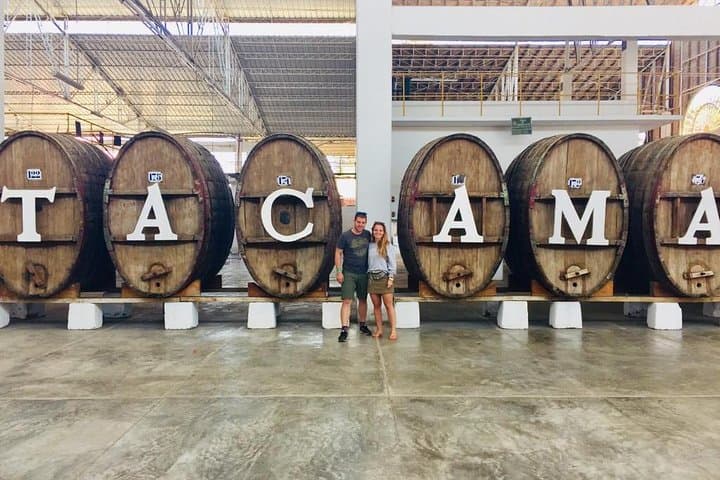 Huacachina Dune-Buggy & Tacama Winery Day Trip from Lima