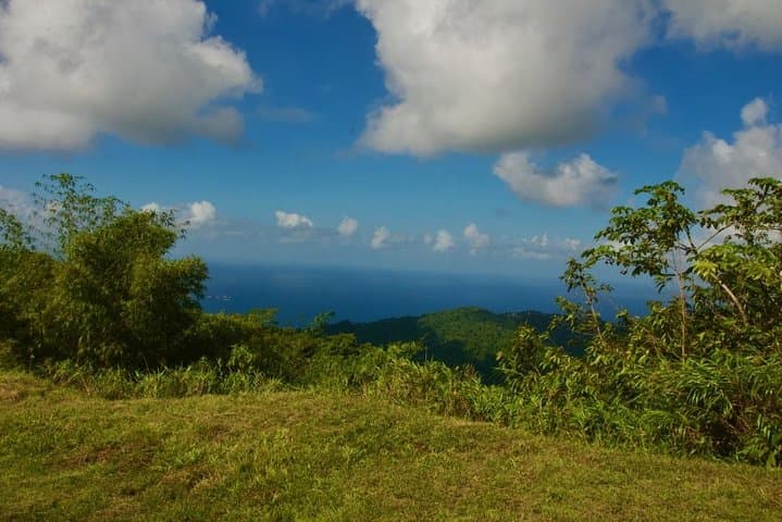 Private Full-Day Englishman's Bay Snorkeling Adventure in Tobago photo 2