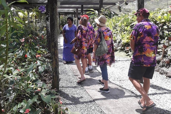 Nadi Sightseeing: Viseisei Village, Anchorage Lookout, Garden of the Sleeping Giant & Sri Siva Subramaniya Temple photo 2