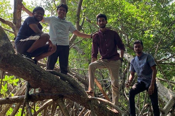 Bentota Mangrove Boat Adventure: Wildlife & Estuary Cruise photo 3