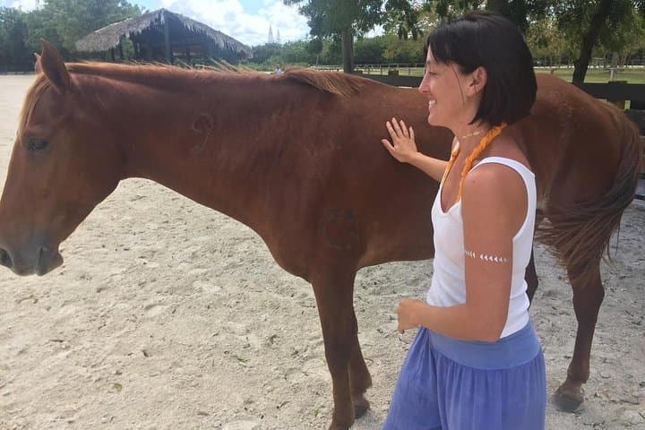 Equine Coaching in the Dominican Republic: Non-Riding Horse-Assisted Personal Development photo 2