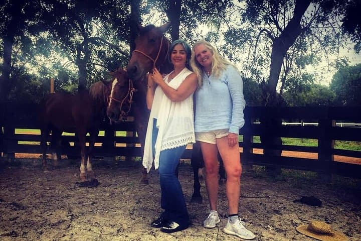 Equine Coaching in the Dominican Republic: Non-Riding Horse-Assisted Personal Development photo 5