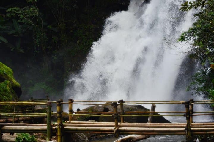 Doi Inthanon Summit: Half-Day Hiking & Birdwatching Tour from Chiang Mai photo 5