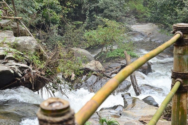 Doi Inthanon Summit: Half-Day Hiking & Birdwatching Tour from Chiang Mai photo 6