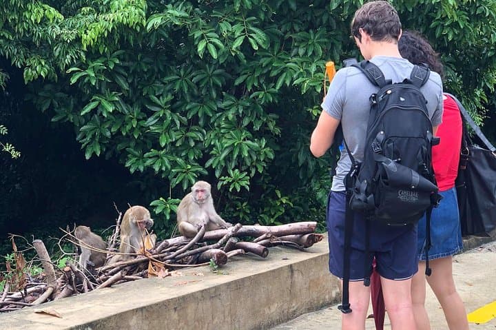 Da Nang Highlights: Golden Bridge, Monkey Mountain & Marble Mountains Private Car Tour photo 3