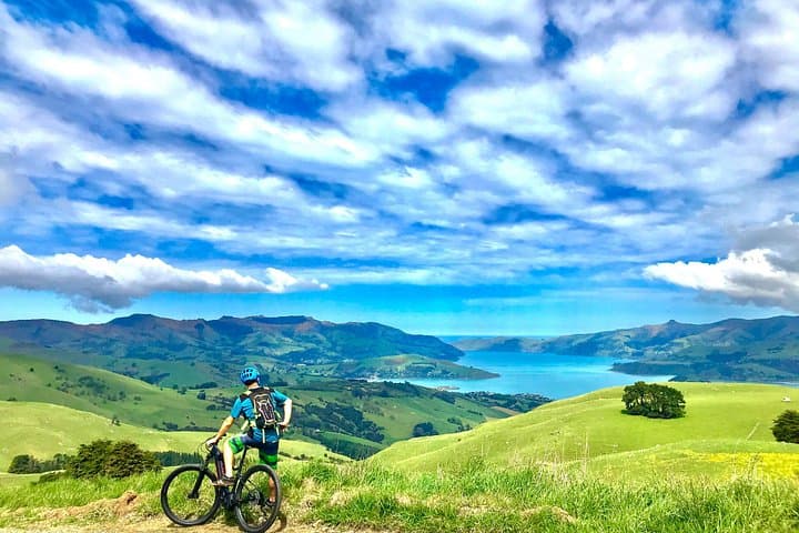Lava Loop Electric Mountain Bike Tour in Akaroa — Crater-Rim Coastal Ride