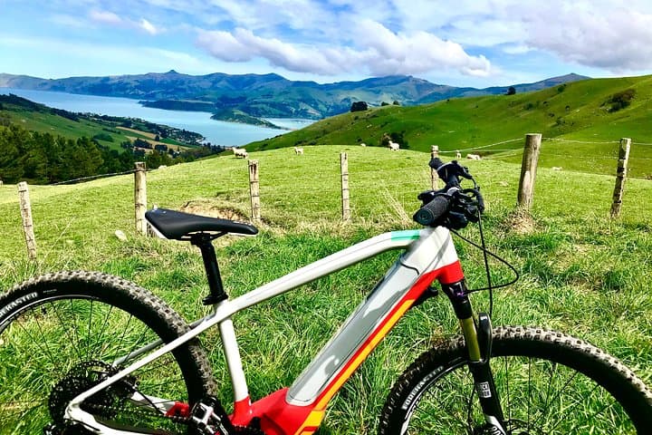 Akaroa Explorer: Guided Electric Bike Tour Around Akaroa Harbour photo 3