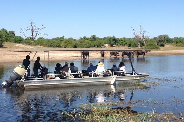 Chobe Full Day Safari and River Cruise: Game Drives, Elephants & Riverlife