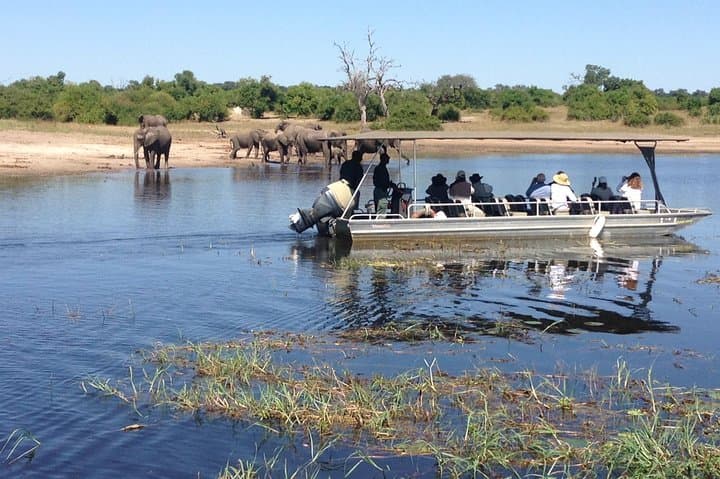Chobe Full Day Safari and River Cruise: Game Drives, Elephants & Riverlife photo 2