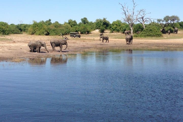 Chobe Full Day Safari and River Cruise: Game Drives, Elephants & Riverlife photo 3