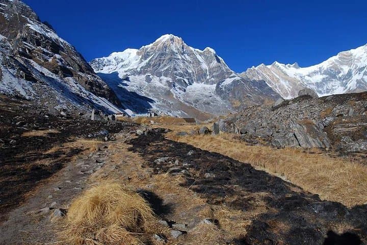 Annapurna Base Camp Trek: 10-Day Classic from Pokhara photo 6