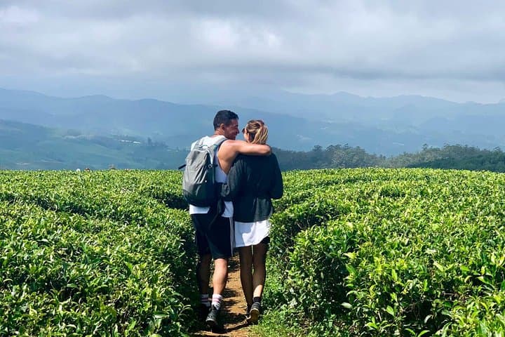 Nuwara Eliya Day Hike and Birdwatching Through Tea Country