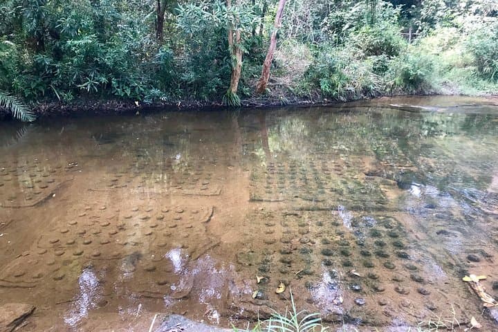 Explore Phnom Kulen: Waterfall, 1000 Lingas & the Reclining Buddha photo 3