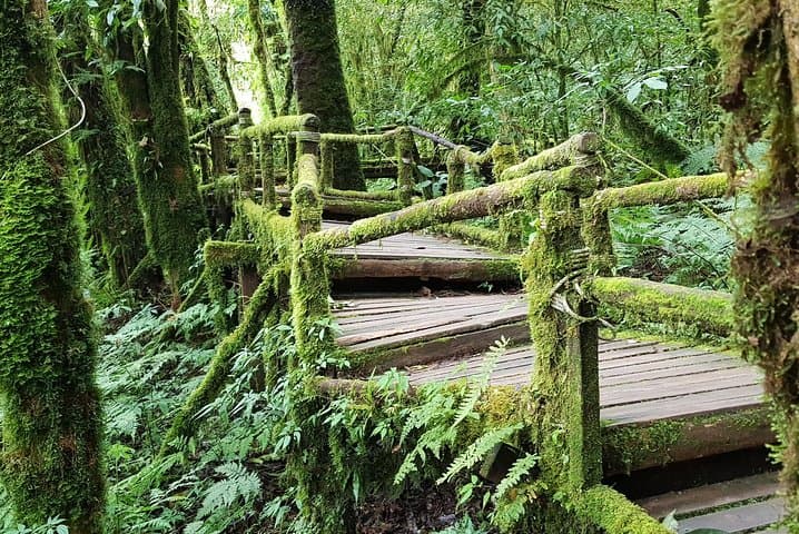 Doi Inthanon National Park Day Tour: Waterfalls, Twin Pagodas & Karen Village photo 5
