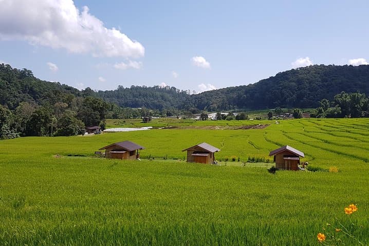 Doi Inthanon National Park Day Tour: Waterfalls, Twin Pagodas & Karen Village photo 6