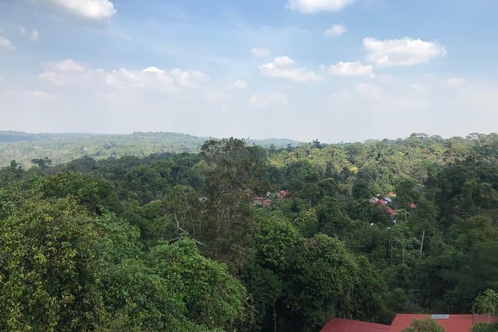 Explore Phnom Kulen: Waterfall, 1000 Lingas & the Reclining Buddha photo 6