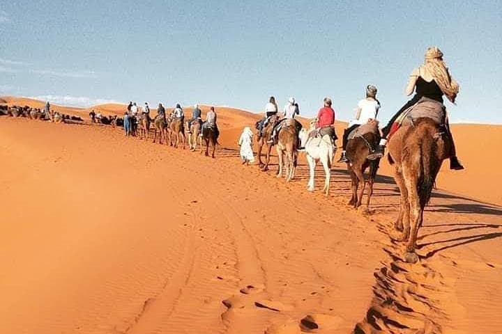 Fez to Merzouga Overnight: Camel Trek & Erg Chebbi Desert Camp Experience photo 2