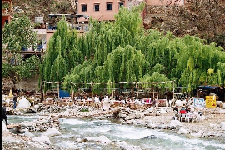 Ourika Valley Day Trip from Marrakech — Waterfalls, Berber Tea & Atlas Views photo 6