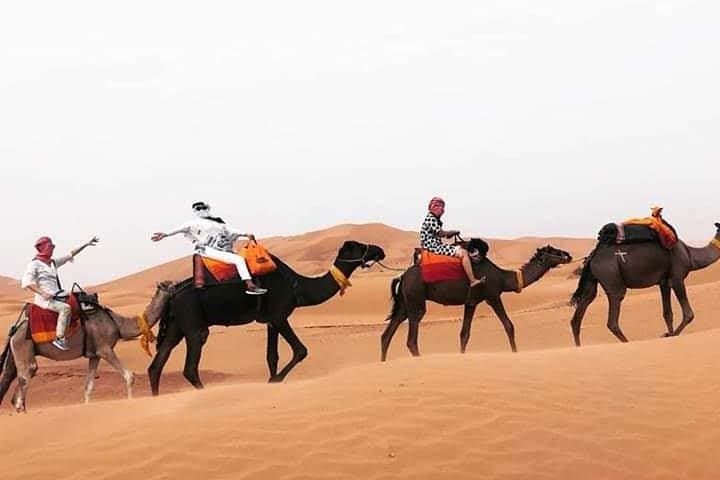 Fez to Merzouga Overnight: Camel Trek & Erg Chebbi Desert Camp Experience photo 5