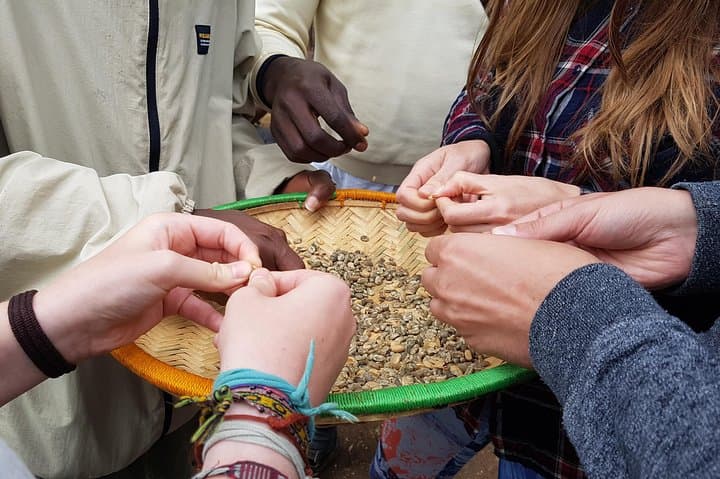 Materuni Waterfall and Coffee Tour — Hike, Swim & Chagga Coffee near Kilimanjaro photo 2