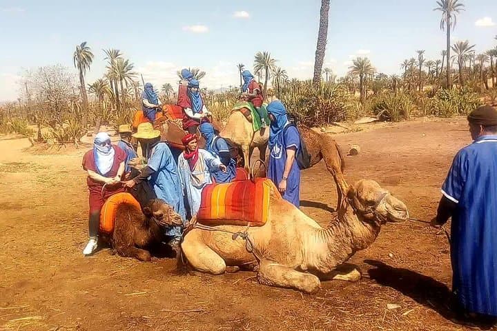 Sunset Camel Ride in Marrakech Palmeraie — 1-Hour Palm Grove Experience photo 4