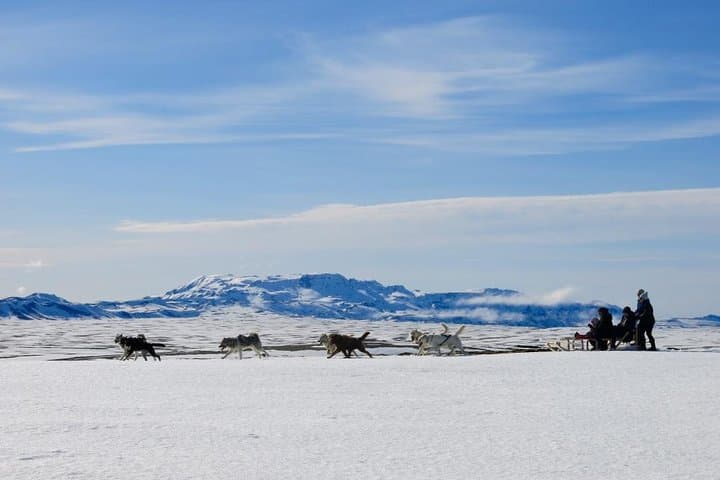 Husky Sledding near Reykjavik: Small-Group Arctic Dog Sled & Kart Experience photo 3