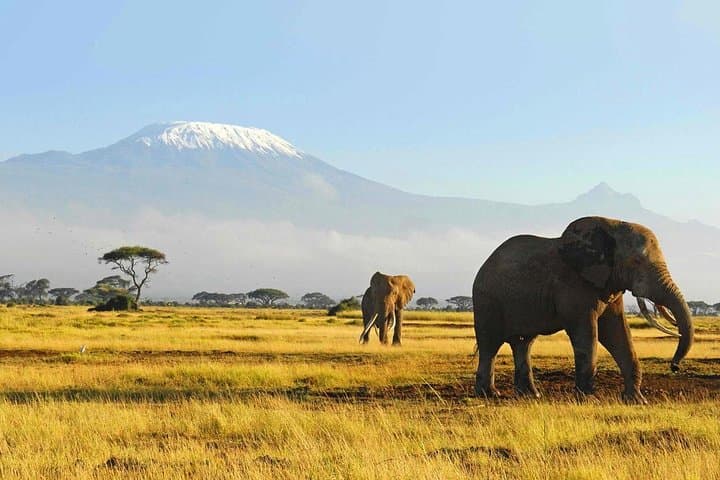 Masai Mara Wildebeest Migration: 6-Day Safari from Nairobi photo 2