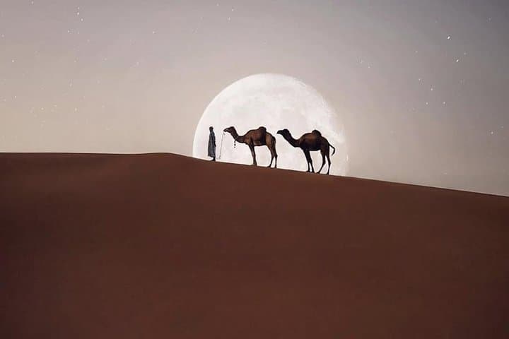 Five-Day Sahara from Casablanca: Private Car, Driver & Licensed Guide