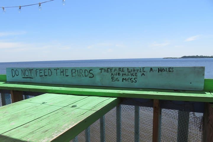 Cedar Key Food Walks: 1.5-Mile Seafood Tasting Tour & Historic Stroll photo 2