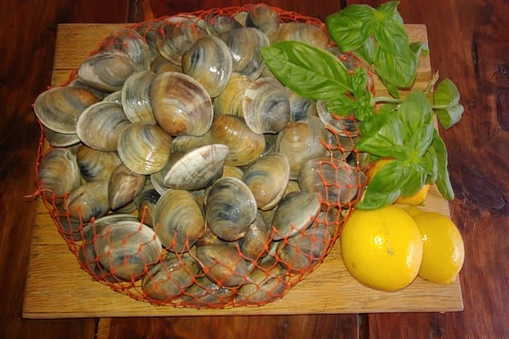 Cedar Key Food Walks: 1.5-Mile Seafood Tasting Tour & Historic Stroll photo 4
