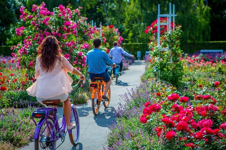 Prague 7 Best Views eBike Tour: See the City's Top Vantage Points by Electric Bike photo 5
