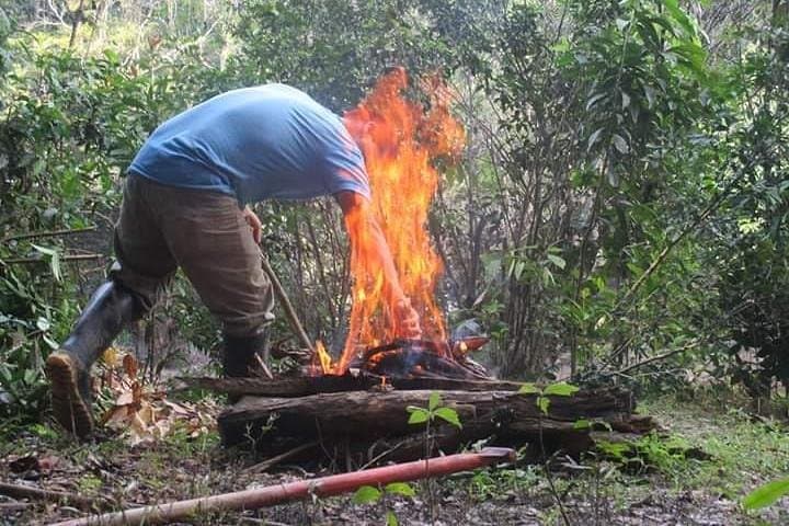 8-Day Amazon Survival Course from Iquitos: Lake Yarina & Tahuayo River Expedition photo 4
