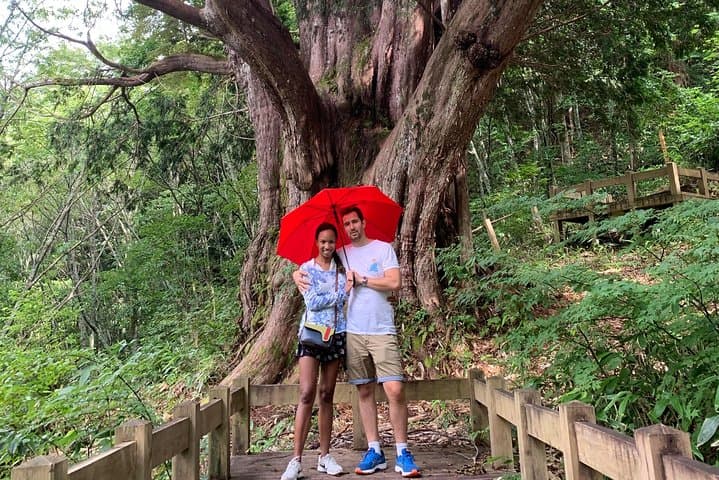 Takayama Waterfall Hike: Hirayu Falls, 1000-Year-Old Tree & Onsen